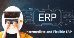 Intermediate and Flexible ERP